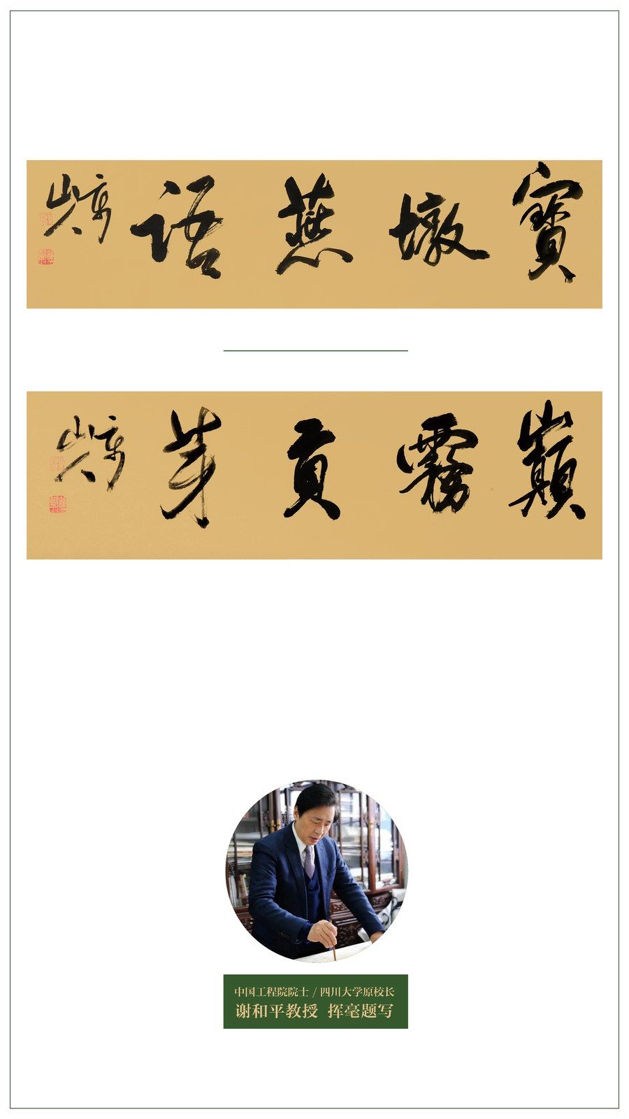 Каллиграфия брендов Baodun Yanyu и Dianwu Gongya, начертанная профессором Xie Heping