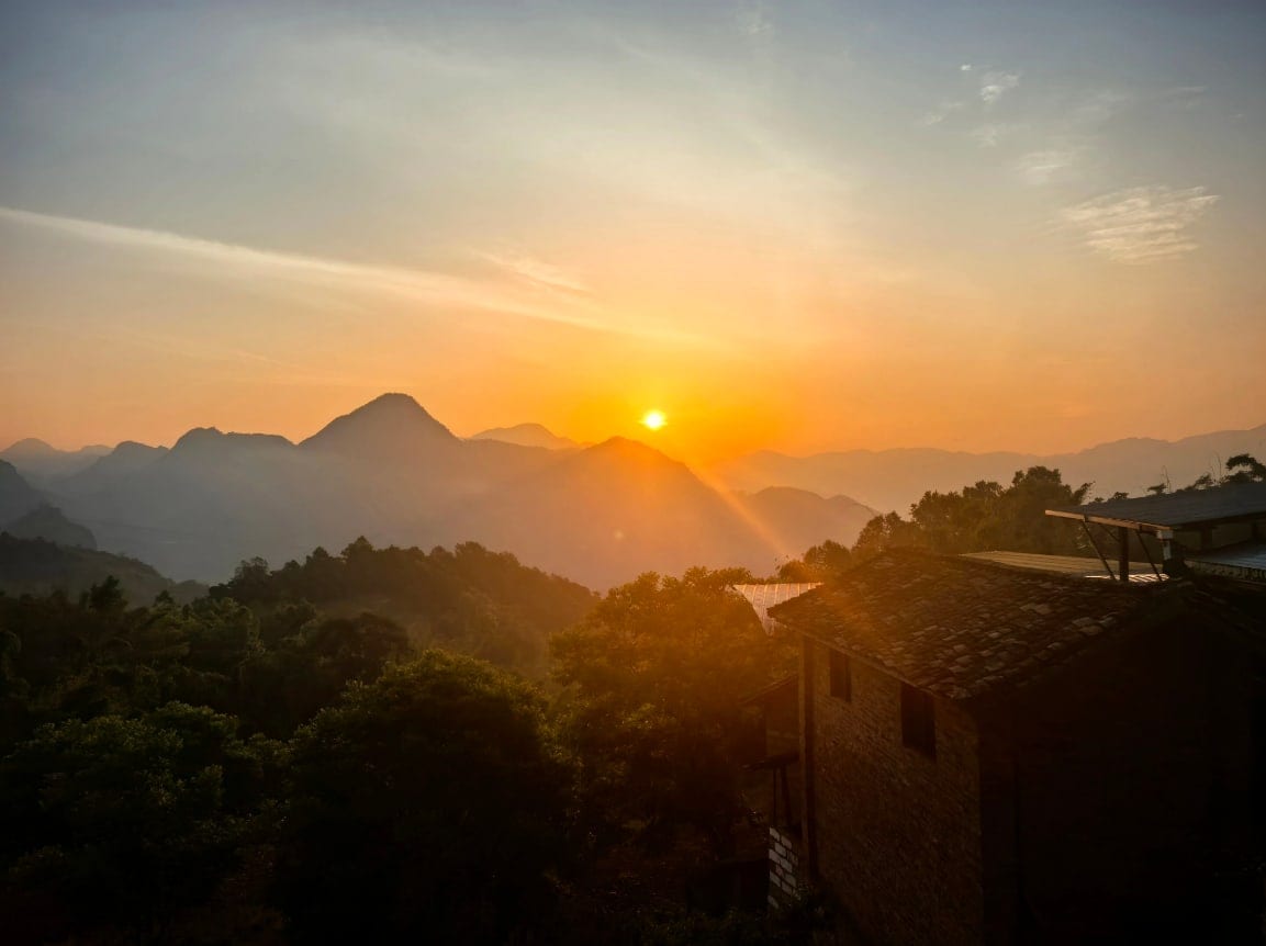 Panorama Teh Gunung Yunnan 2026: Rilis Data Lengkap