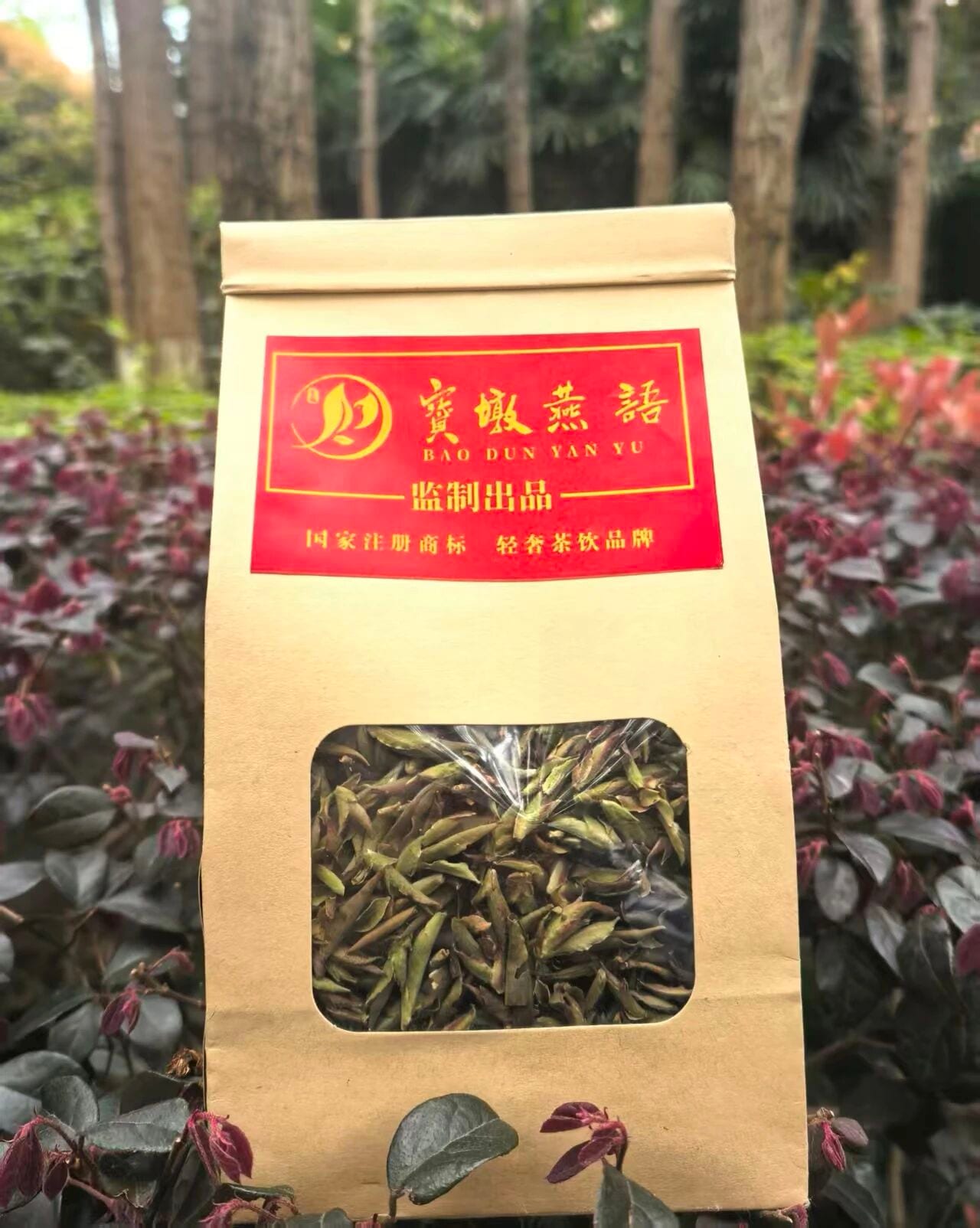 Pucuk Ungu Pohon Tua Yunnan
