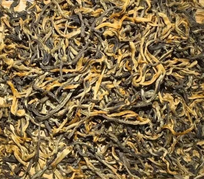 Hồng trà Dian Hong cây cổ thụ Fengqing