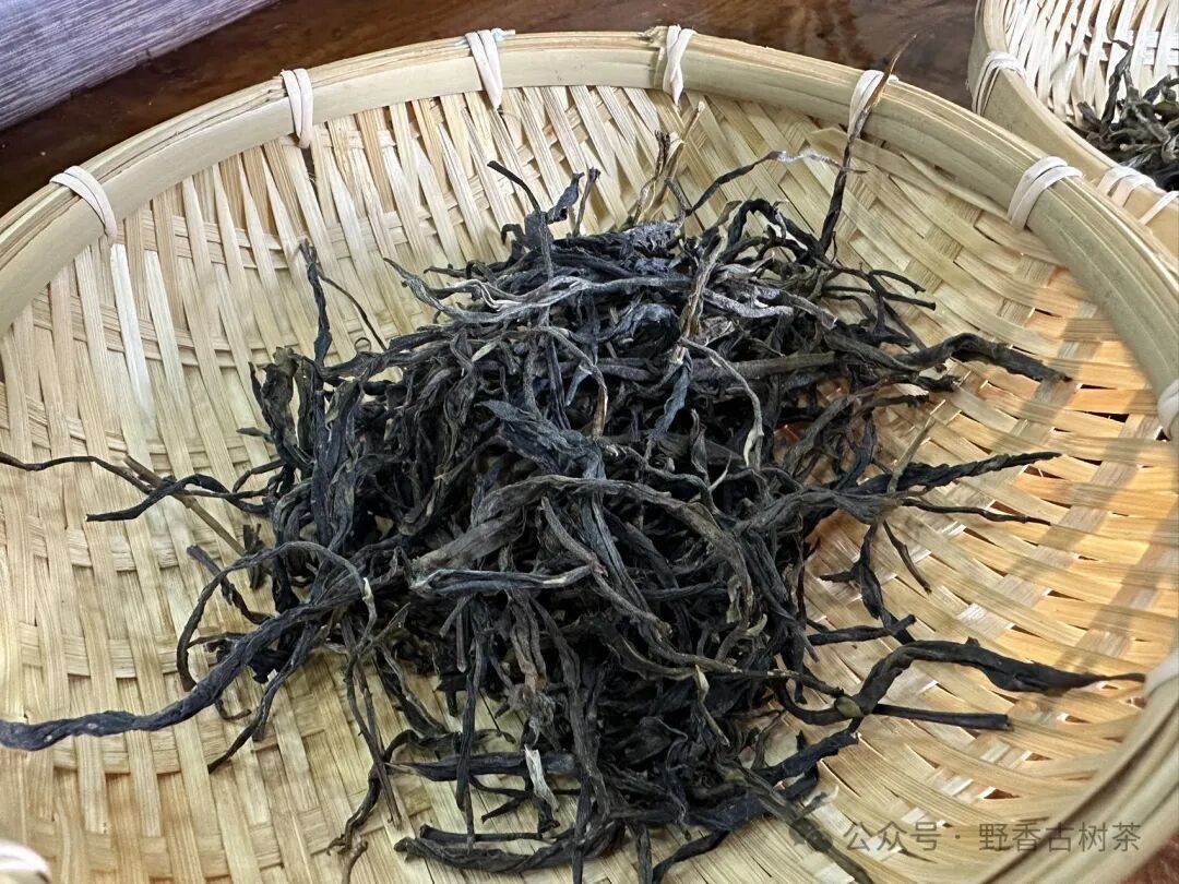 Pu-erh sheng cây cổ thụ Xigui Lincang