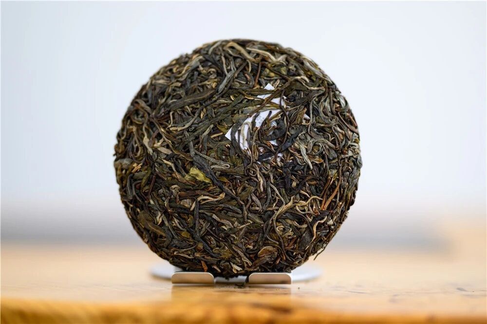Pu-erh sheng cây cổ thụ Yongde Snow Mountain